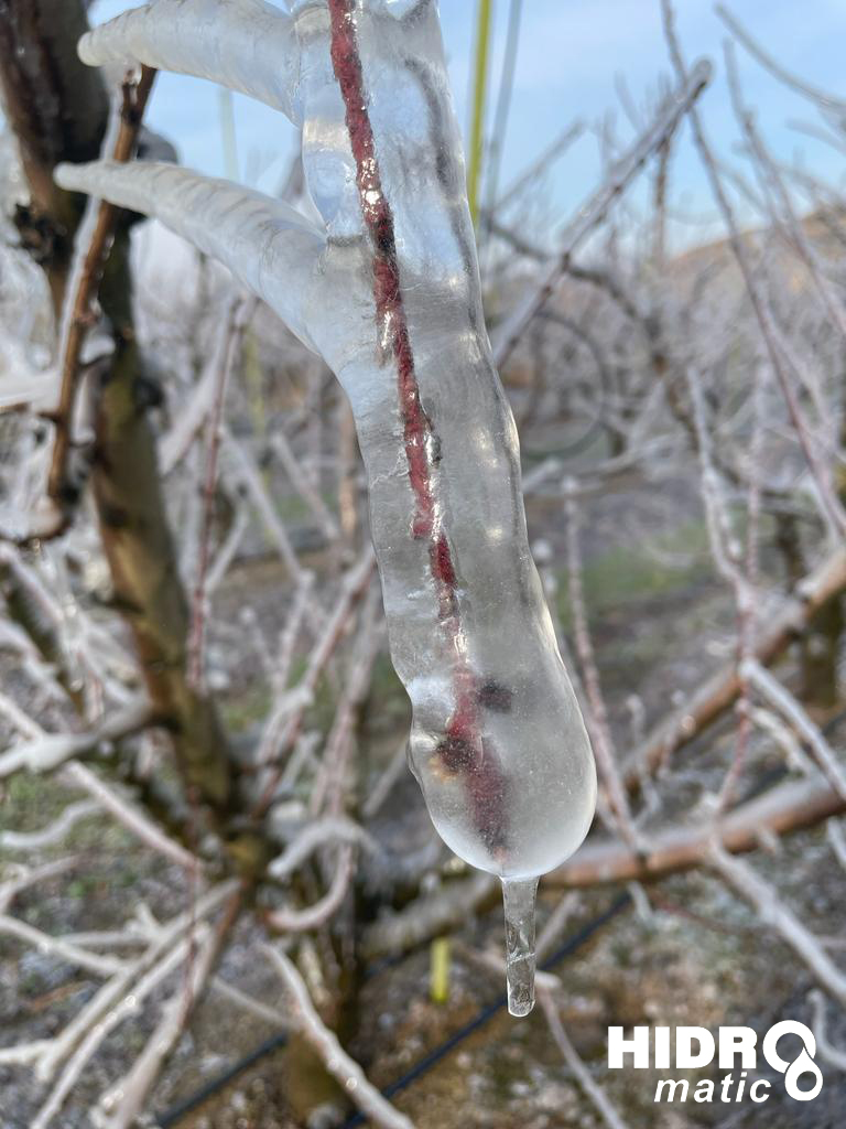 Sistemas de riego por micro-aspersión para hacer frente a las heladas. En <a href="/HidromaticPonen/">Hidromatic Ponent SL</a>  tenemos las mejores soluciones
Disponemos de una amplia gama de micro aspersores para poder escoger el más adecuado
No dudes en llamarnos e informarte de nuestras soluciones.
#antiheladas
