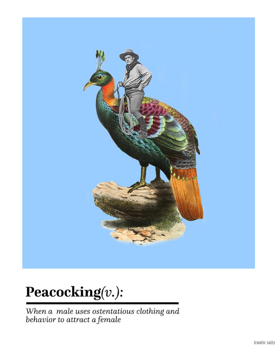 Frantic Sally tweet media