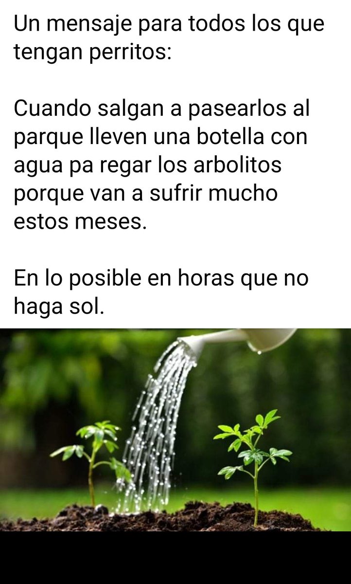 Antonio José Mora Saavedra.Ole:Mano. (@antoniomora673) on Twitter photo 