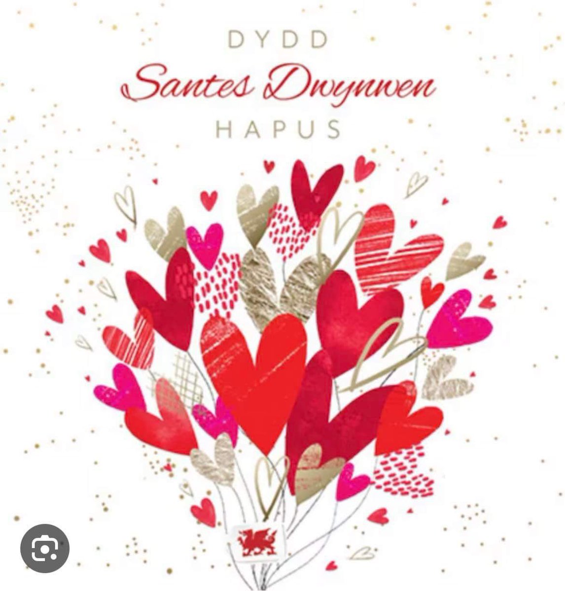 ❤️🌼🏴󠁧󠁢󠁷󠁬󠁳󠁿Dydd Santes Dwynwen i bawb 🏴󠁧󠁢󠁷󠁬󠁳󠁿❤️🌼 #DyddSantesDwynwen