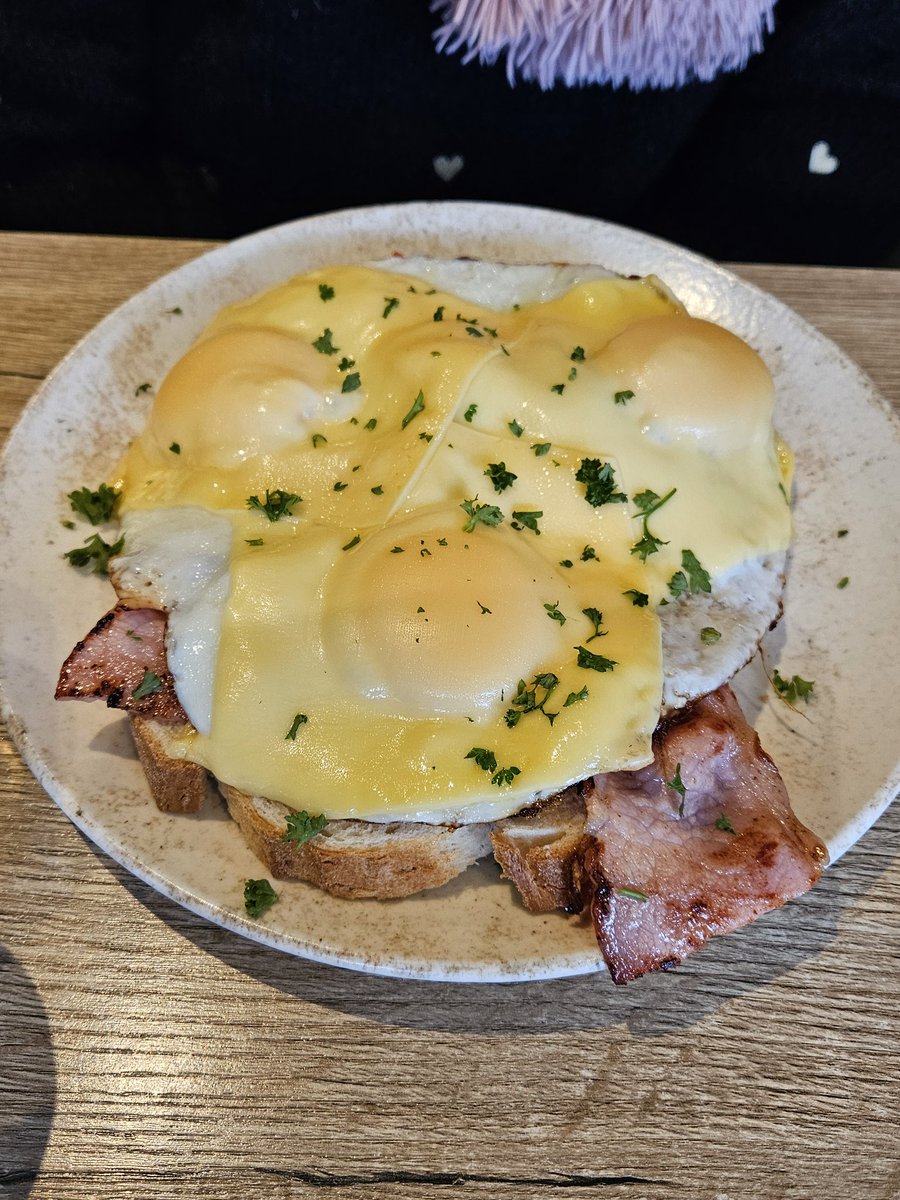 Coördinatoren DZB tweet media