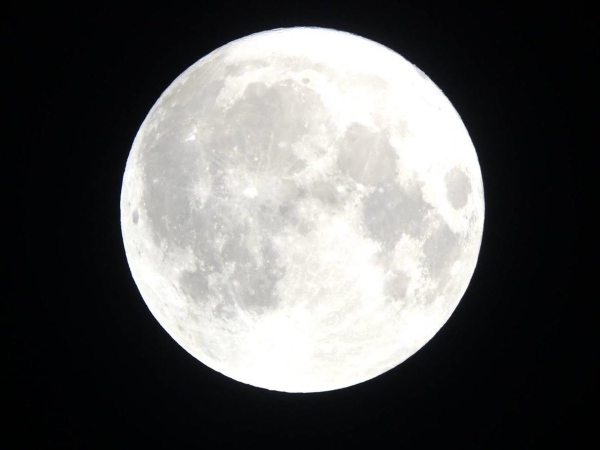 【おやすみ前の月探し】1/25
まあるい月がのぼってきたペガ！
あそこに小型月着陸実証機 #SLIM（すりむ）があるペガ…

すりむが降りたのは、
「月の模様をタモリさんのお顔に見立てたとき、涙がポロリとするあたり⭐︎」なんだって！
#JAXA #たのしむーん

isas.jaxa.jp/topics/002261.…