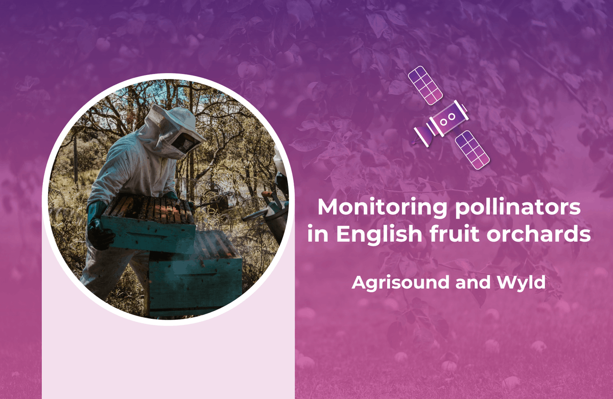 WyldNetworks's tweet image. Discover the vital role of pollinators in fruit yields and the innovative solution by  @AgriSoundTech and @WyldNetworks

Read here:

wyldnetworks.com/blog/innovate-…

#Pollinators #InnovateUK #AgriSound #WyldNetworks