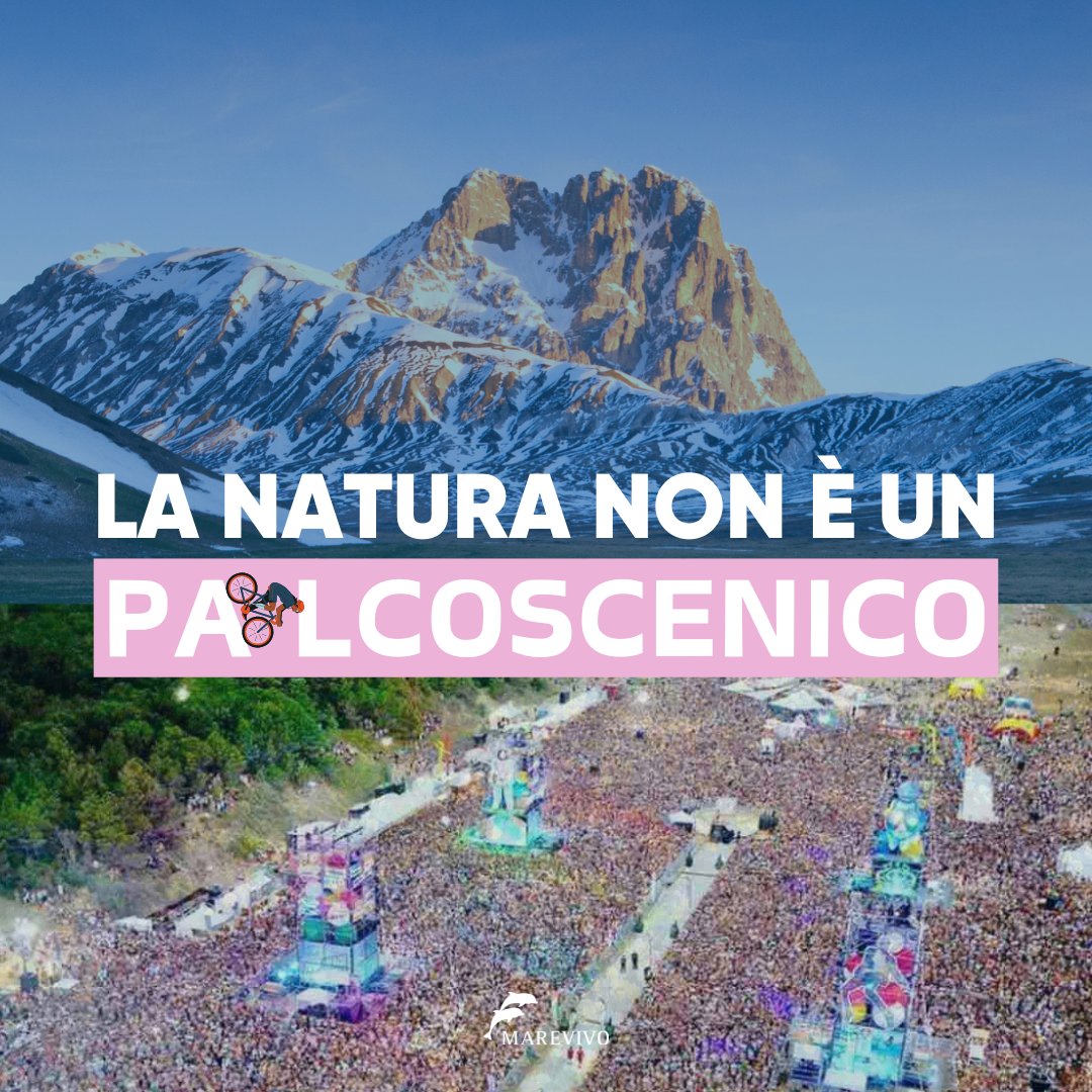 Marevivo (@marevivoets) on Twitter photo 🔴LA NATURA NON È UN PALCOSCENICO! Siamo con il Parco Nazionale del Gran Sasso: DICIAMO NO alla montagna illuminata di rosa in occasione del <a href="/giroditalia/">Giro d'Italia</a>. I grandi eventi creano inquinamento sonoro e luminoso danneggiando flora e fauna.
Firma la petizione change.org/p/no-ai-grandi… 🔴LA NATURA NON È UN PALCOSCENICO! Siamo con il Parco Nazionale del Gran Sasso: DICIAMO NO alla montagna illuminata di rosa in occasione del <a href="/giroditalia/">Giro d'Italia</a>. I grandi eventi creano inquinamento sonoro e luminoso danneggiando flora e fauna.
Firma la petizione change.org/p/no-ai-grandi…