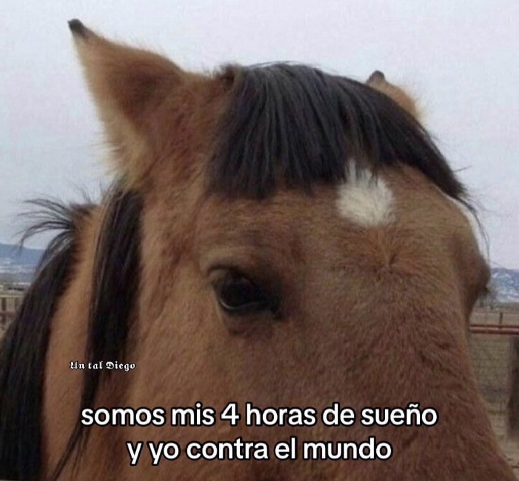 piña sin pizza (@skereunpesado) on Twitter photo 