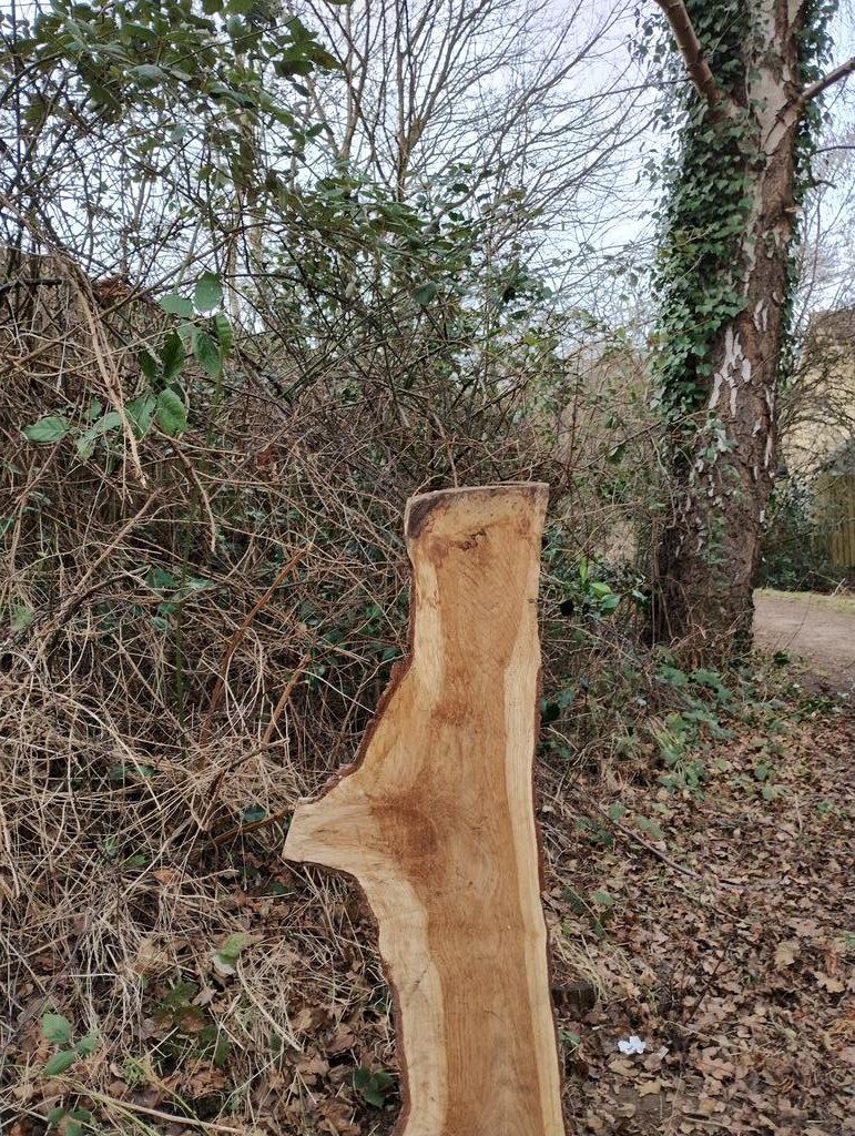 GreenwaysProj's tweet image. Rushmere St Andrew Parish Council&apos;s Enchanted Tree Trail is on its way! We&apos;ve installed all the marker posts and wildlife habitat features ready for the opening on 10th February. @EastSuffolk @IpswichGov @WildIpswich #trees #treetrail #lovetrees #logpile #stagbeetle