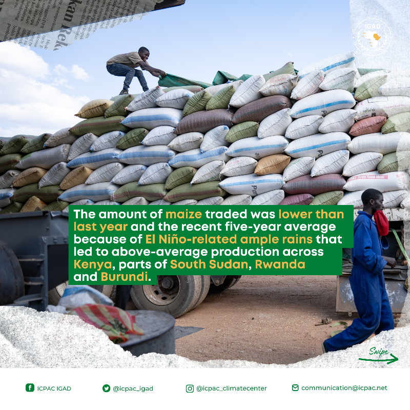 IGAD_CPAC's tweet photo. 🌽🐐 The #FSNWG cross-border trade update on #food commodities and #livestock traded across #EastAfrica in the fourth quarter of 2023 (October-to-December), and projections for 2024 is out!
Read more ➡️ https://t.co/m5kuYsiZcT