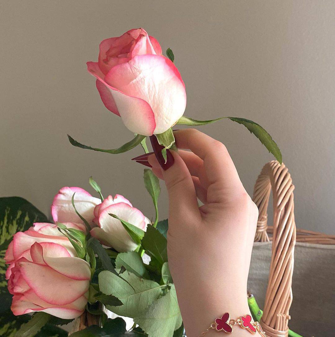 رَيّمِـ العمري…ᥫ᭡ ®️🎻 tweet media