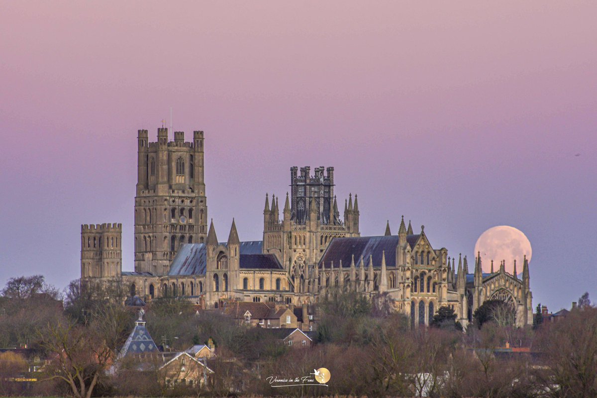 VeronicaJoPo's tweet image. Happy Thursday &amp;amp; Full Moon 🌝 
Rather overcast and rainy in Ely, so here are a few favourite photos of the January Wolf Full moon from 2021, 2022 and 2023 😃 
@Ely_Cathedral #FullMoon #WolfMoon #backintime