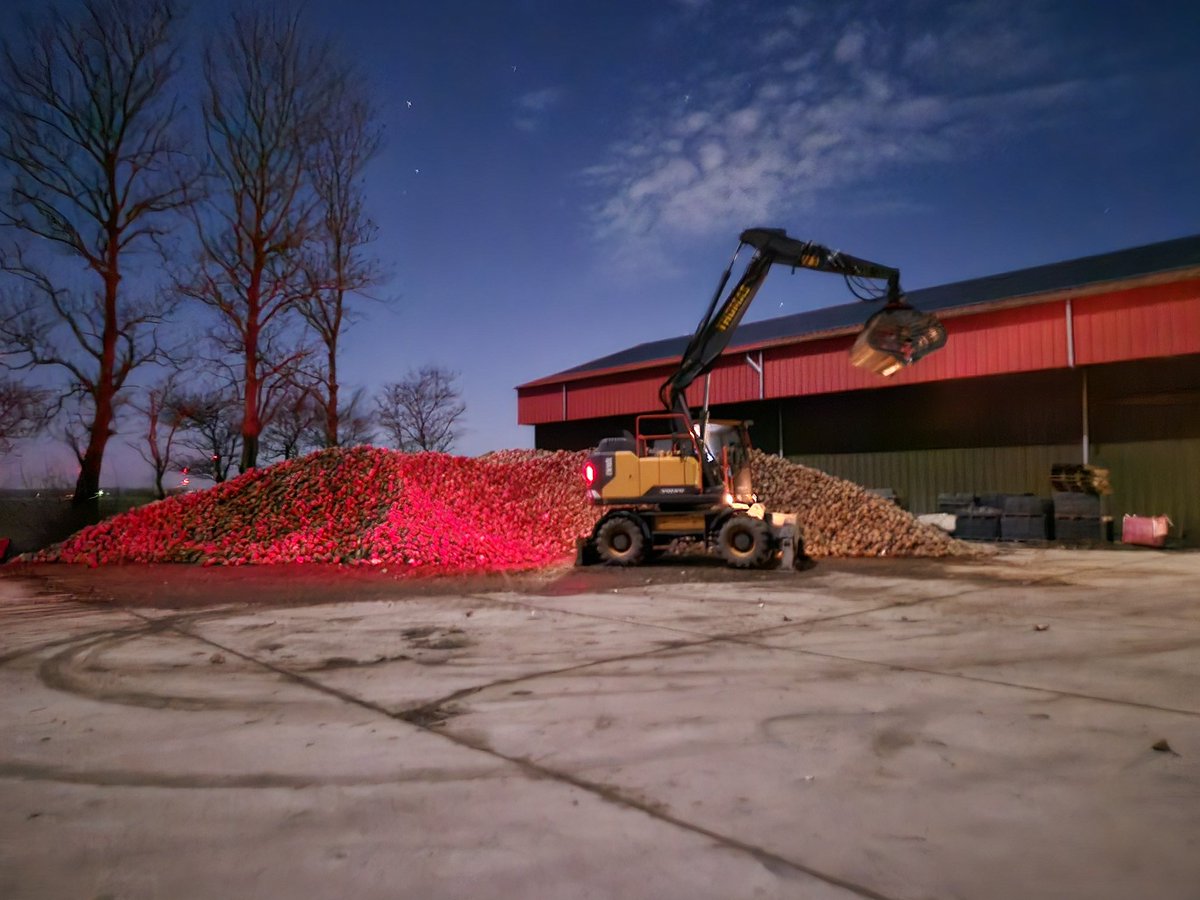 Vannacht heeft de <a href="/CosunBeetCo/">Cosun Beet Company</a> de laatste bieten opgehaald!