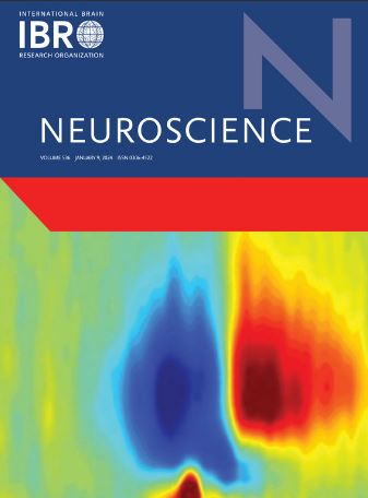 Meet the new Chief Editors of Neuroscience: IBRO is pleased to welcome Francesca Cirulli, Chen Zhang, and Sarah Spencer as new Chief Editors of Neuroscience @NeurosciIBRO @IBROorg Read more > spkl.io/60194vO6l