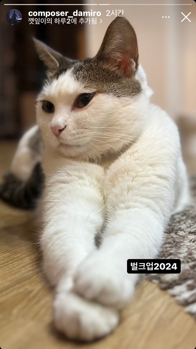 Kingssso's tweet photo. 깻잎이 보고싶다 https://t.co/Nu4HSAqIzQ
