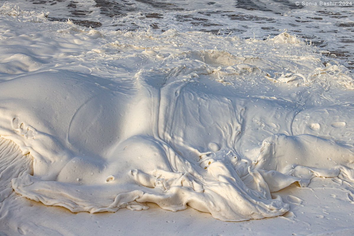 Sea foam in Cleveleys yesterday 💨🌊🫧
#StormJocelyn #StormIsha