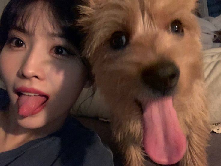 joyystudy's tweet image. 🎥  #studytwt | #studytwtbr 

★ joyce | '06
★ vestibulanda de jornalismo.
★ técnico em Eletrotécnica 6/6
★ USP || UFMS
★  foco: enem e fuvest.
 
💭 velas, músicas, incensos, fotografia, skz história!