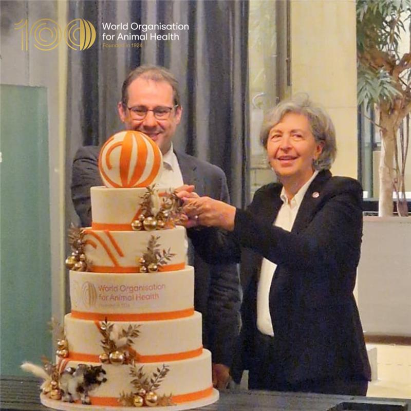 .@WOAH_DG, Dr Monique Eloit, was welcomed by the Minister of Agriculture, David Clarinval, and the Belgium Presidency of the Council of the European Union in Brussels (@EU2024BE), to celebrate @WOAH’s 100th anniversary last night! #WOAH100 #EU2024BE 🇧🇪🇪🇺