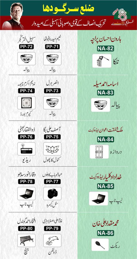 Tayyabshamsher's tweet photo. عمران خان کے سرگودھا سے نامزد امیدوار https://t.co/wJr0XSuuh8