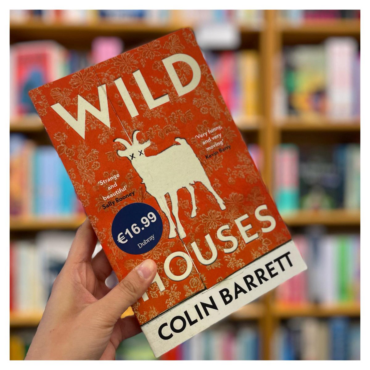 #JustLanded Wild Houses by Colin Barrett. A #dubrayrecommended read. Follows two outsiders caught in the crosshairs of a small town revenge kidnapping gone awry. Find this in our shops and online! @PenguinIEBooks #ColinBarrett dubraybooks.ie/product/wild-h…