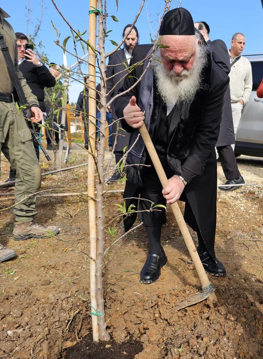 יו"ר יהדות התורה שר השיכון הרב יצחק גולדנופף:
ט"ו בשבט הוא חג שמסמל התחדשות, בניה וחיבור לשורשים בארץ ישראל. דווקא בתקופה הקשה בה אנו נמצאים, בה אויבנו קוראים תיגר על זכותנו בארצנו, אנו נמשיך לנטוע ולבנות בכל רחבי ארץ ישראל. ט"ו בשבט שמח לכל עם ישראל.