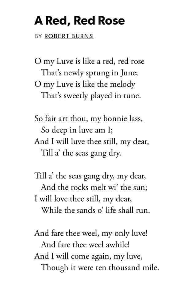 AudreyDoherty3's tweet photo. Happy #BurnsNight to all you beautiful Scots 🏴󠁧󠁢󠁳󠁣󠁴󠁿 https://t.co/8pilPZEb8f