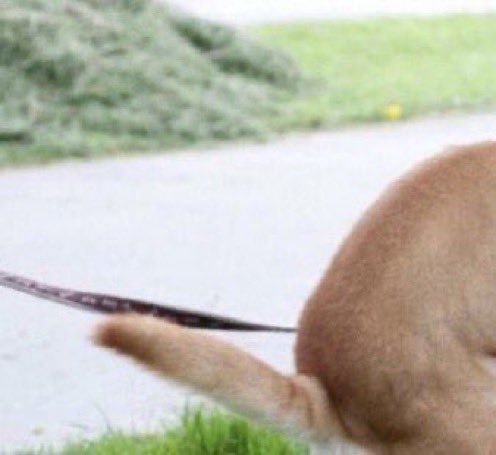 CirMoney✨ tweet media