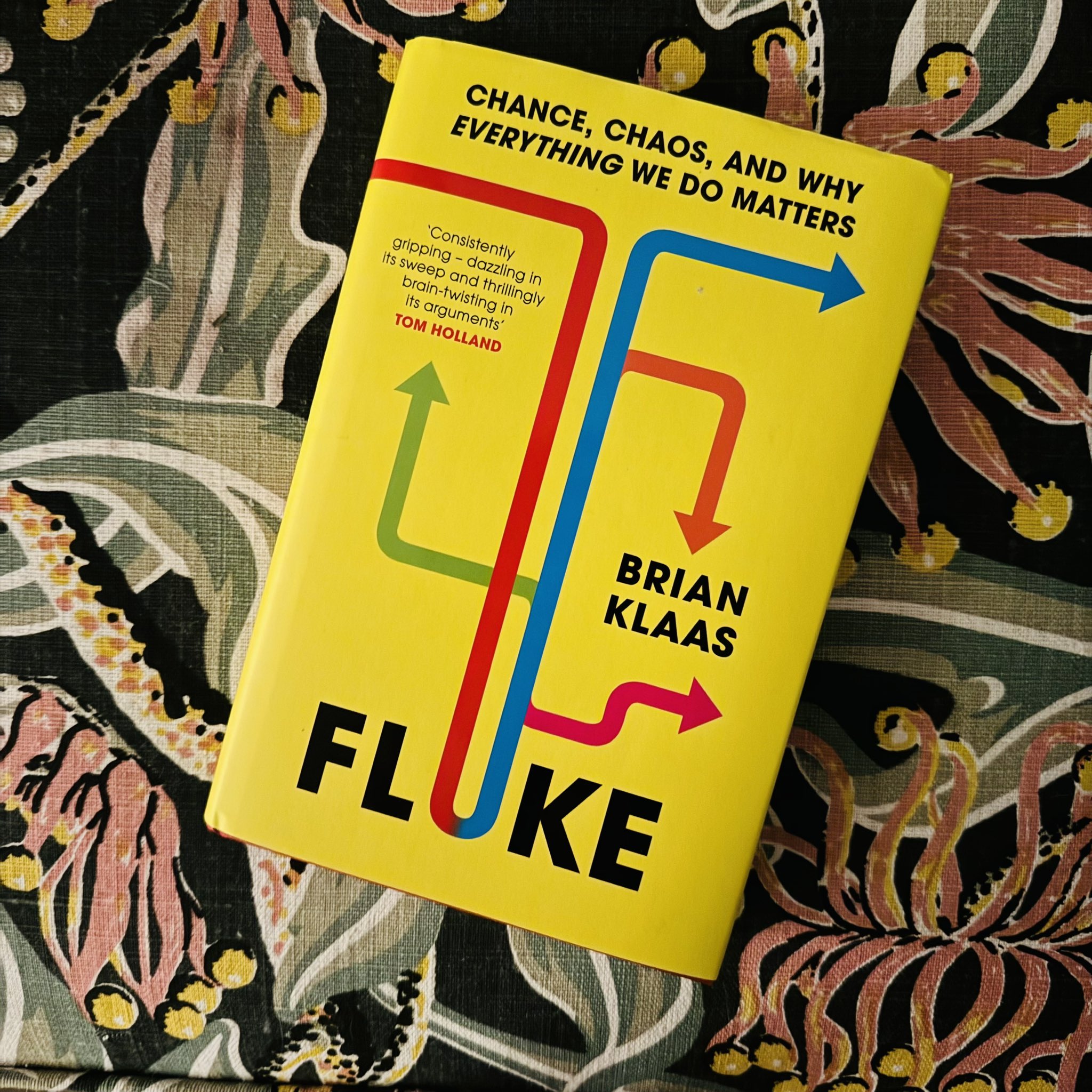 Fluke, Book by Brian Klaas, Official Publisher Page