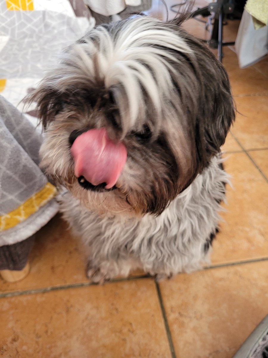 malouchons's tweet image. Ici Kékette, j'ai éloigné le narcissique. De rien.