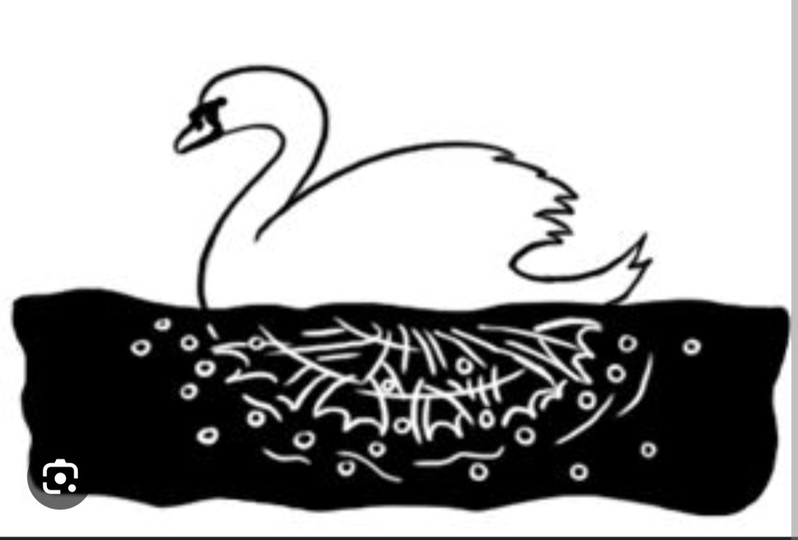 itmcopywriting's tweet image. To all my fellow business owners and health and wellness practitioners.

I see you. ❤️❤️❤️

#businessowner #freelancewriter #healthandwellness #healthandwellbeing #wellbeing #calm