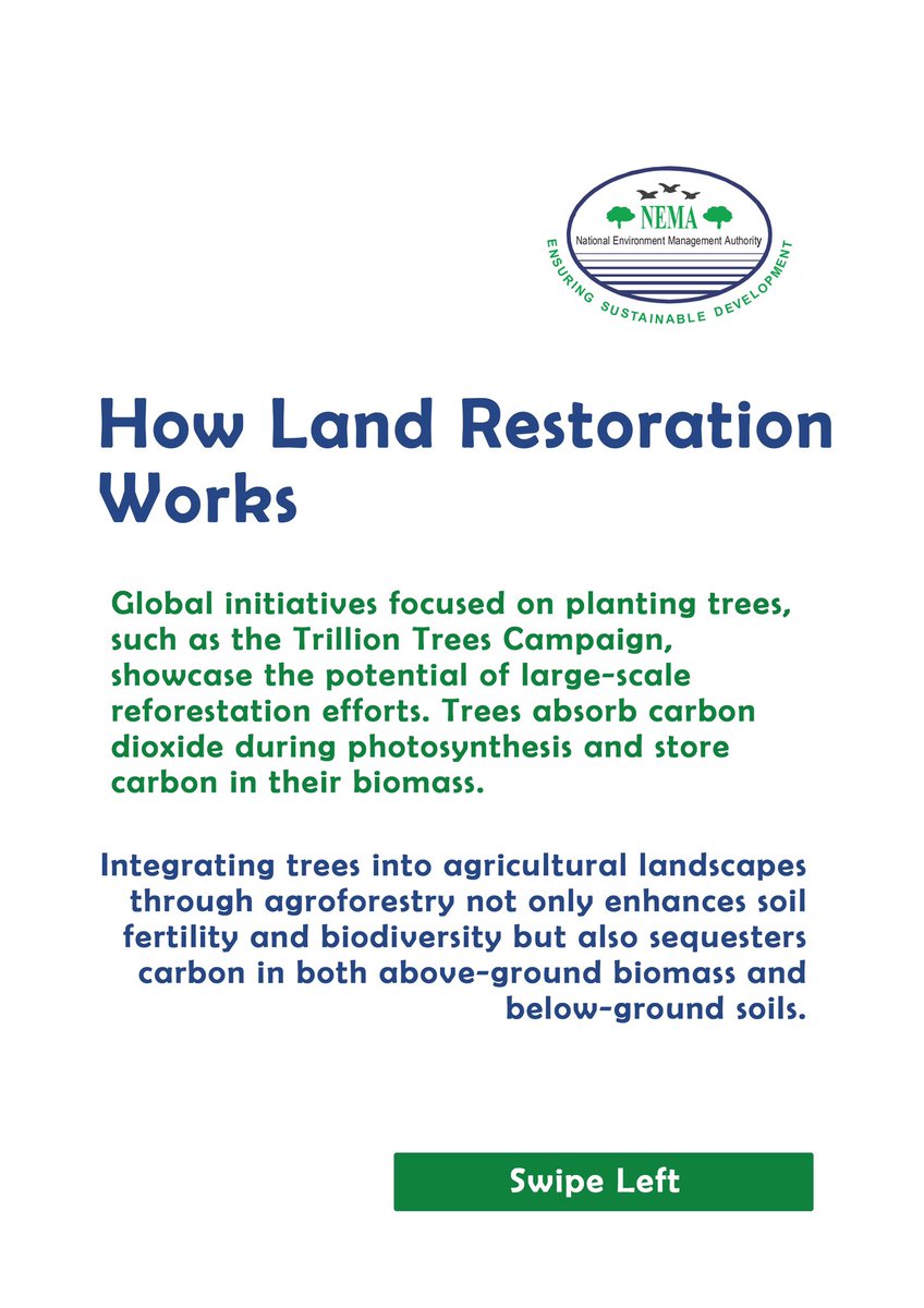nemaug's tweet photo. In the fight against climate change, the connection between land restoration and carbon sequestration is clear – healing the land is synonymous with healing the atmosphere.
#environmentawareness #WED2024 #landrestoration #NEMAUG https://t.co/mACGaQozxN