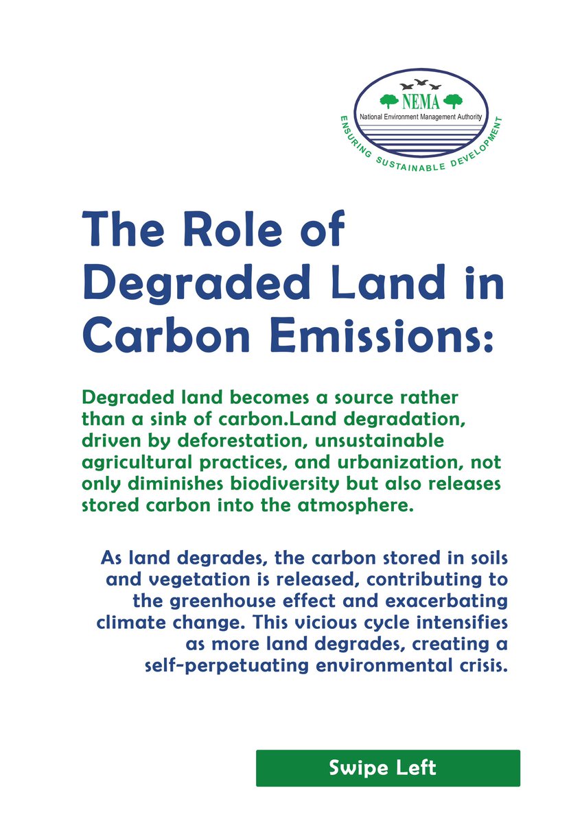nemaug's tweet photo. In the fight against climate change, the connection between land restoration and carbon sequestration is clear – healing the land is synonymous with healing the atmosphere.
#environmentawareness #WED2024 #landrestoration #NEMAUG https://t.co/mACGaQozxN
