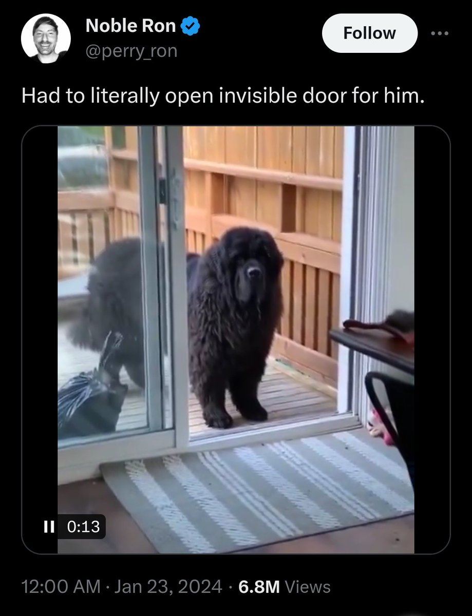 mormo_music's tweet photo. had to open an invisible door for them https://t.co/nx1TxJyoY1