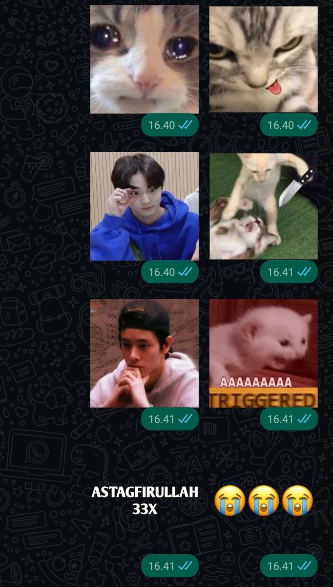 youngnblod's tweet photo. sticker kucing emng fav banget https://t.co/LFxiZD77o2