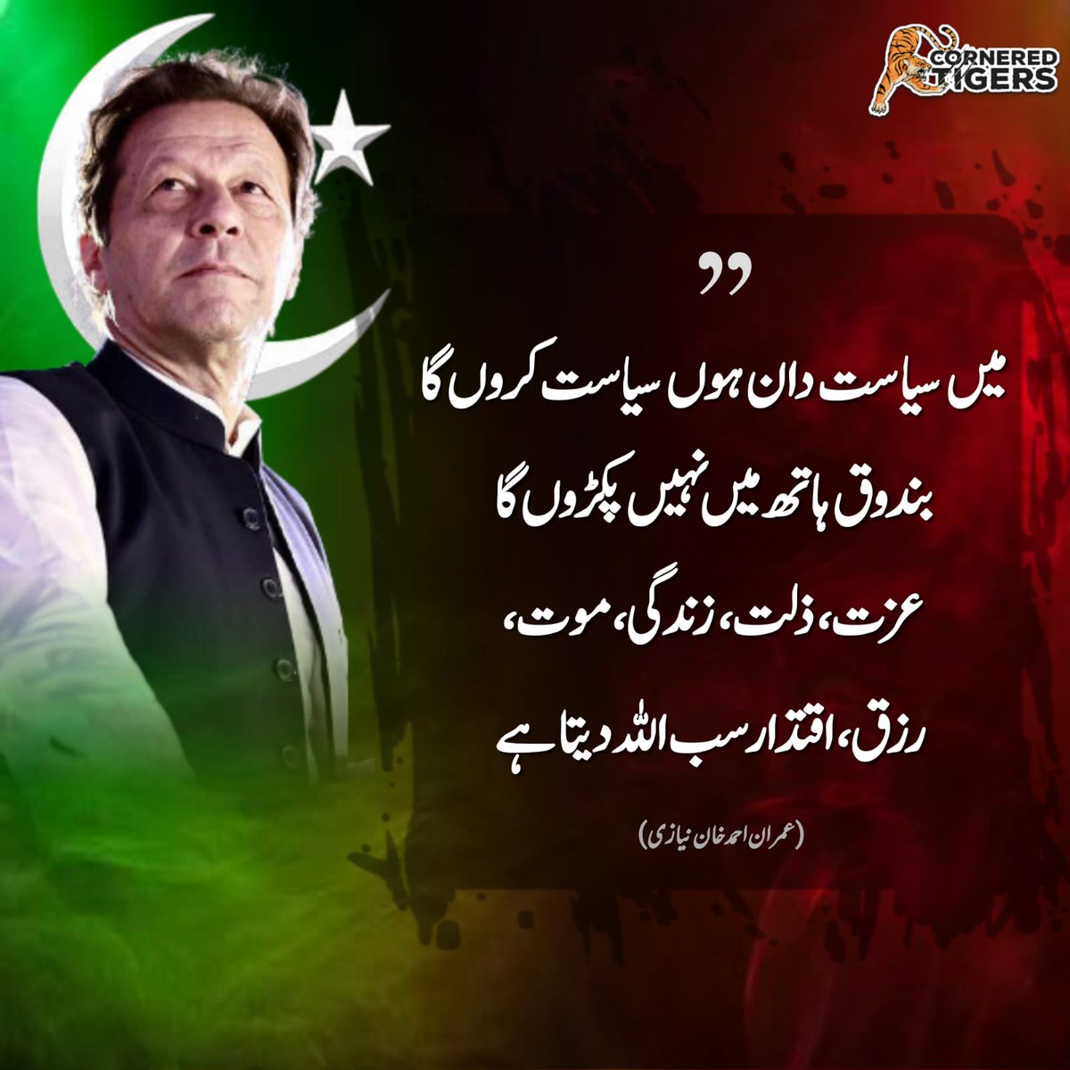 Cornered Tigers tweet media