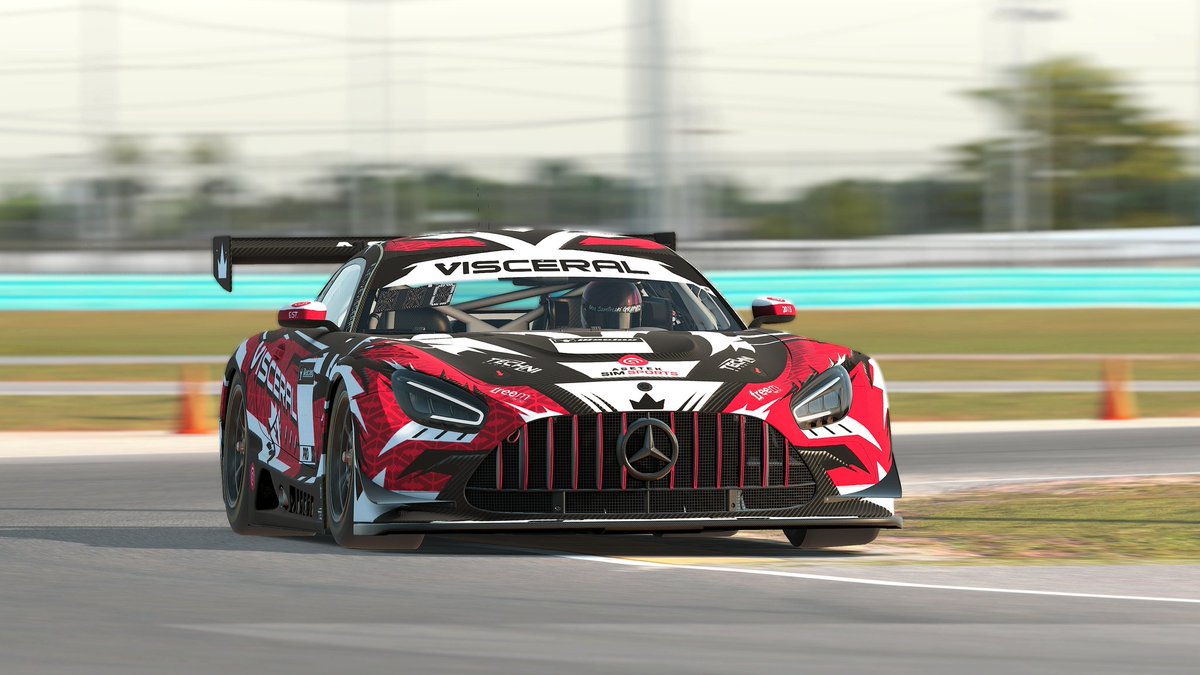 Daytona 24h was an amazing event last weekend! This <a href="/VisceralEsports/">Visceral Esports</a> livery looks amazing around these corners!