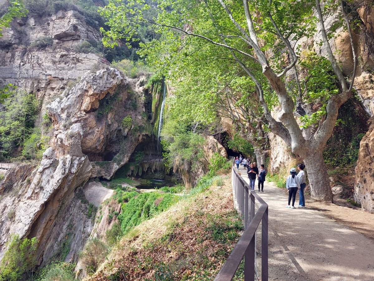 👥 Gairebé 30.000 persones van visitar Sant Miquel del Fai el 2023!
📌El 86% hi va anar amb vehicle privat amb reserva prèvia
📌 El 9,2% hi va accedir a peu pel sender de Riells
📌 El 2,3% h hi va arribar en autobús o vehicle col·lectiu

✍️ El 53,9% dels visitants van valorar amb