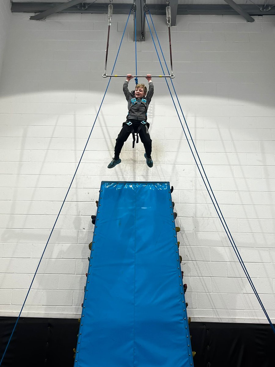 Adlington Primary Cheshire tweet media