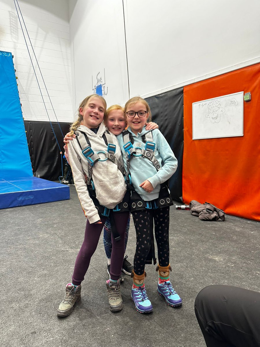 Adlington Primary Cheshire tweet media