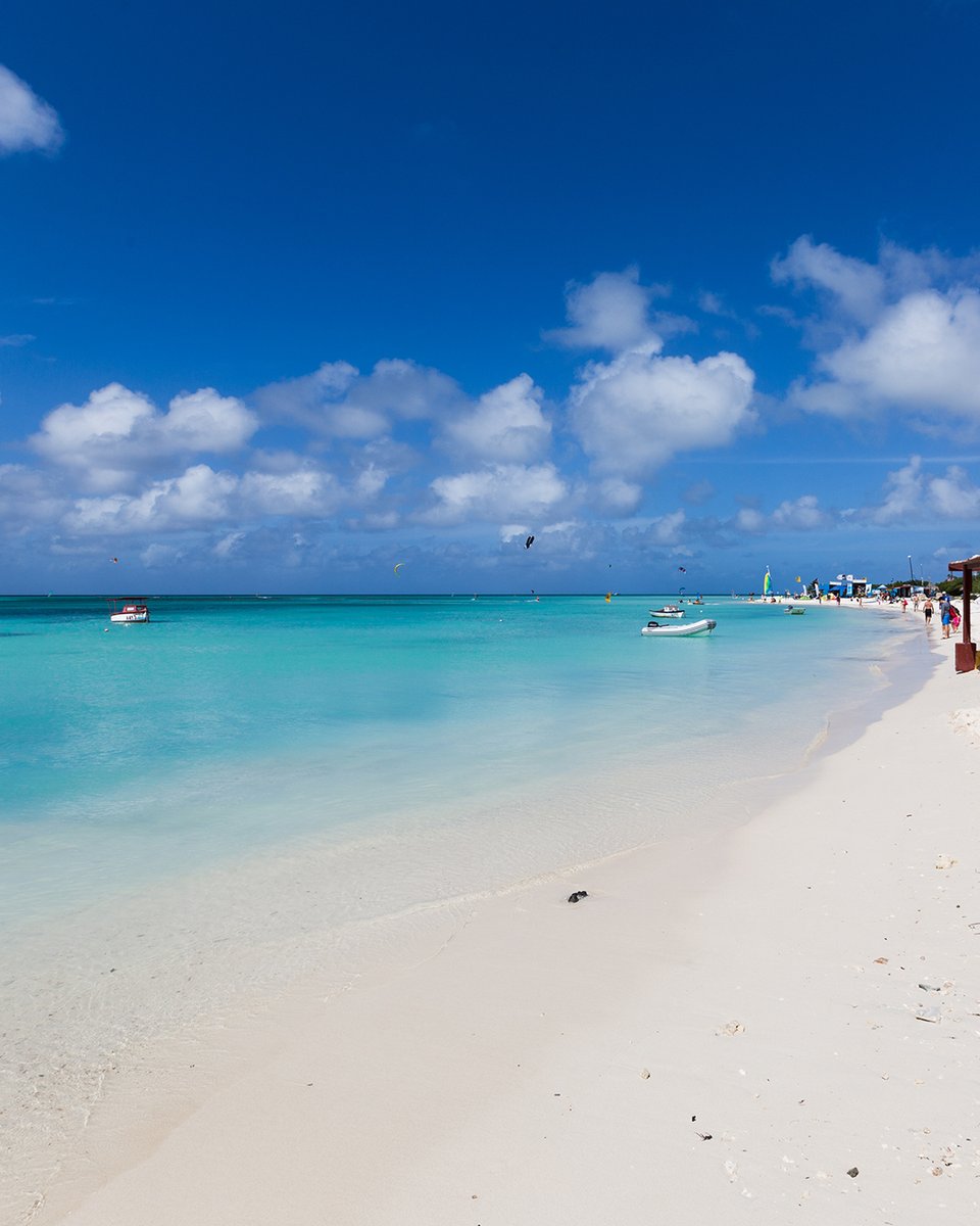 IsolaDiAruba's tweet photo. #LikeaLocal
Quali sono le spiagge migliori per fare surf, windsurf e kitesurf ad Aruba?  Ve le elenchiamo qui sotto:
 
📍Hadicurari Beach (nota anche come Fisherman's Hut)
📍Malmok Beach
📍Boca Grandi
📍Andicuri
 
 Se siete amanti degli sport acquateci, salvatevi questo post!🌊🏄‍♂️ https://t.co/rFaQU0Uv70