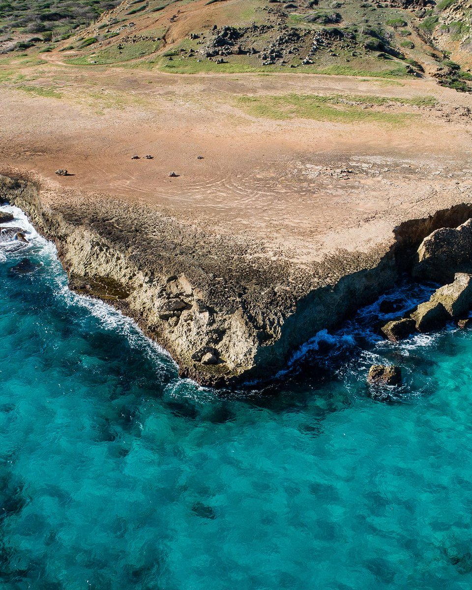 IsolaDiAruba's tweet photo. #LikeaLocal
Quali sono le spiagge migliori per fare surf, windsurf e kitesurf ad Aruba?  Ve le elenchiamo qui sotto:
 
📍Hadicurari Beach (nota anche come Fisherman's Hut)
📍Malmok Beach
📍Boca Grandi
📍Andicuri
 
 Se siete amanti degli sport acquateci, salvatevi questo post!🌊🏄‍♂️ https://t.co/rFaQU0Uv70