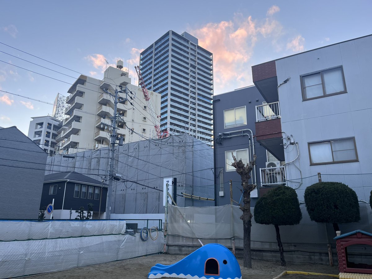 背が高くなってきました