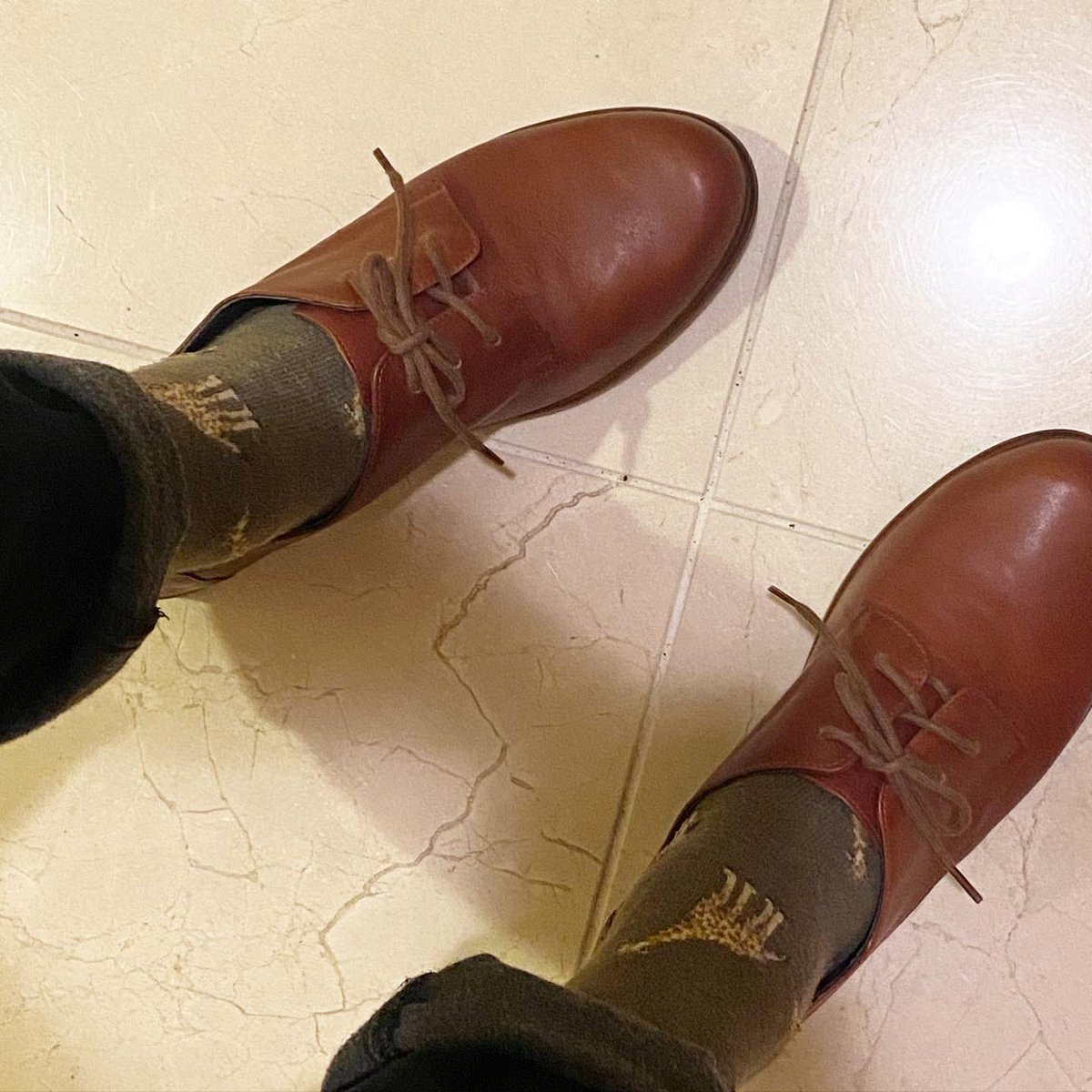 「先日、本屋生活綴方   の受注会で注文したNAOTの革靴が届く。自分の色に育てる」|成田ネコーシカ画伯のイラスト