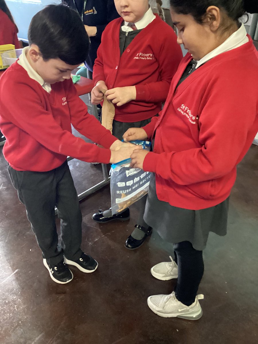 Tulip Class Y3/4 tweet media