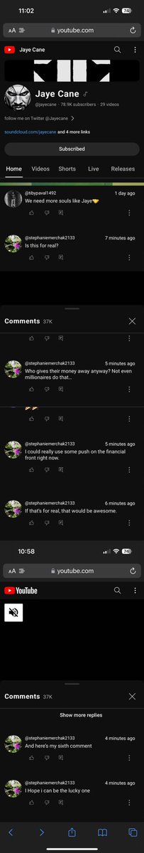 Stephanie Merchak @StephMerchk@ravenation.club tweet media