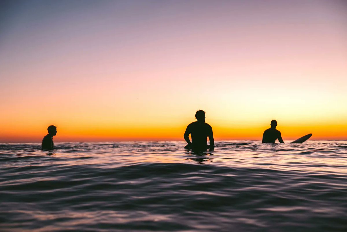 Tim Denning tweet media