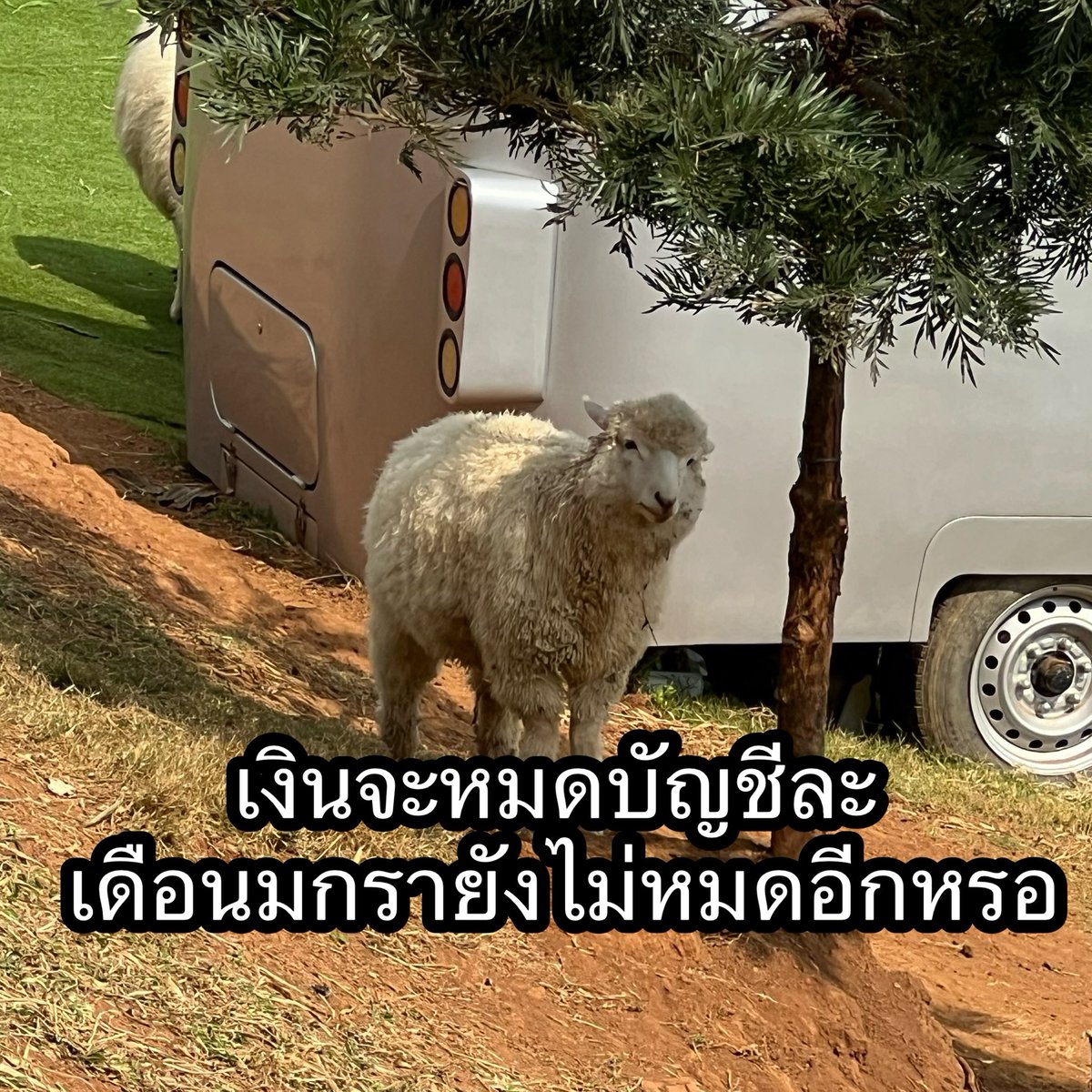 gangbearegg's tweet photo. มันช่างยาวนานเหลือเกิน https://t.co/Tyx9asSRrV
