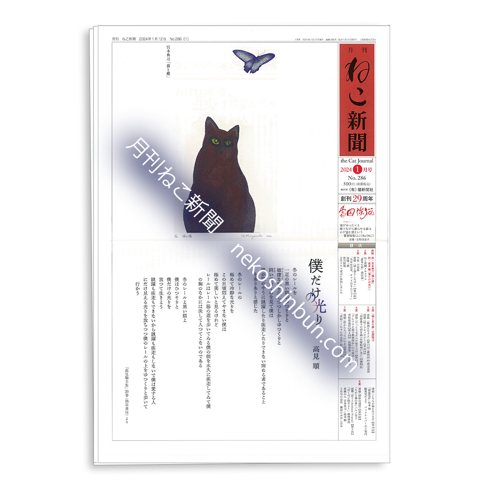 月刊ねこ新聞 (@nekoshinbunsya) / X