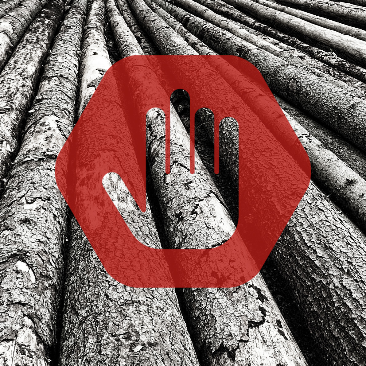 🌳🙌 Dzisiaj o godzinie 15:00 weźmiemy udział w obradach Komisji Ochrony Środowiska, Zasobów Naturalnych i Leśnictwa m.in. w sprawie wyłączeń z wycinek najcenniekszych terenów leśnych. Póki co przygotowano propozycję dla 1,2% obszarów leśnych. Do zapowiadanych