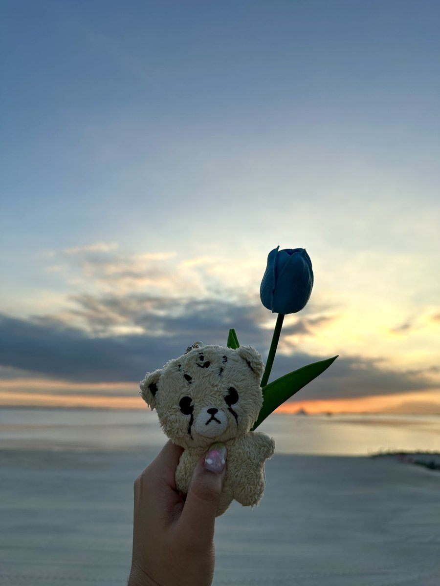 214delivery's tweet photo. for mark lee 💙🌷🐯🌇
#BlueTulipsForMark https://t.co/gFsbLzFZVg