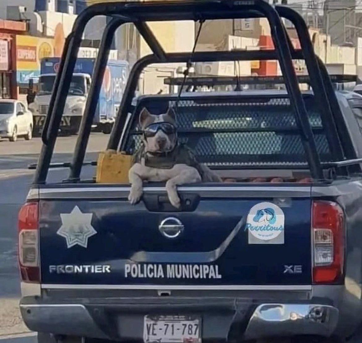 — Firulais: Hágale caso al oficial, no te conviene que yo me baje.