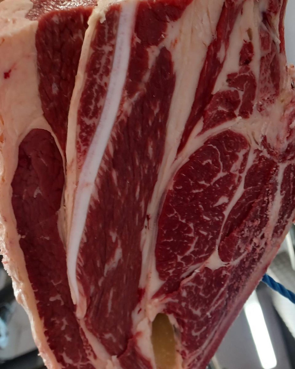 Stoddart's Best in Beef tweet media