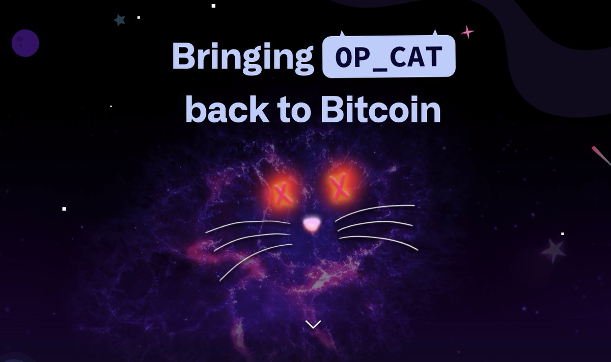 There has been a lot of buzz and renewed interest in OP_CAT lately, all thanks to Quantum Cats.

But what exactly is #OP_CAT? Let's find out in the thread below 👇🧵